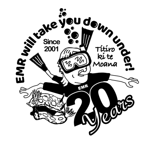 20 years emr