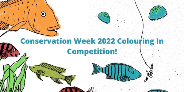 Conservation Week 2022 Colouring In Competition