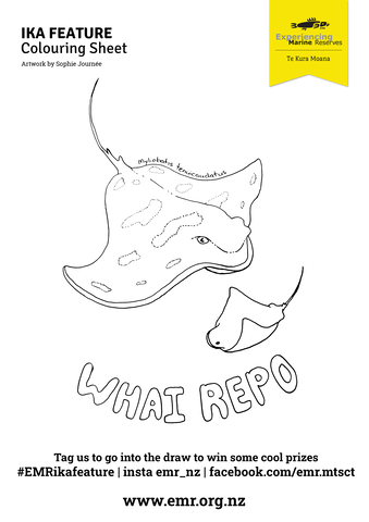 Ika Feature wahi repo Colouring in
