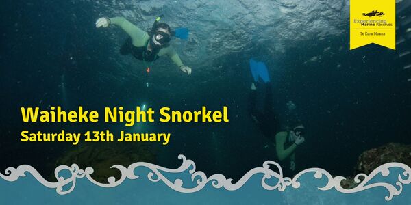 Waiheke Night Snorkel Event Banner 1