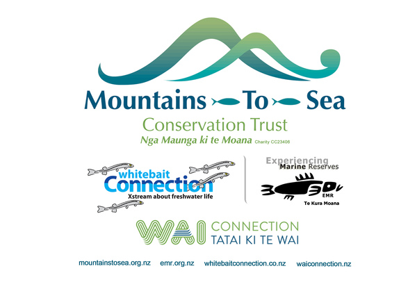 Mountains to Sea Trust Logo fltnd 3