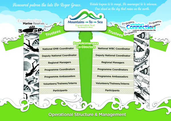 Operational Structure and Management 2019
