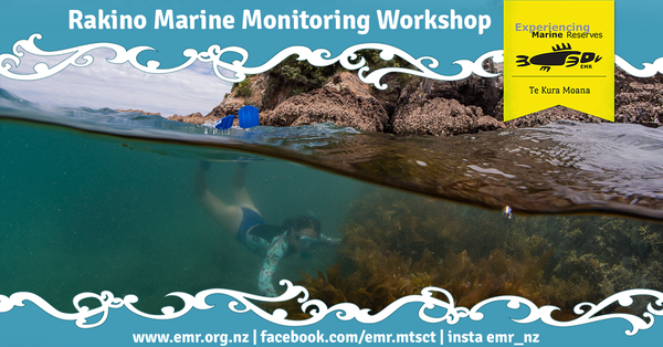 Rakino Marine Monitoring Workshop 2022