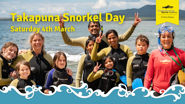 Takapuna Snorkel Day 2