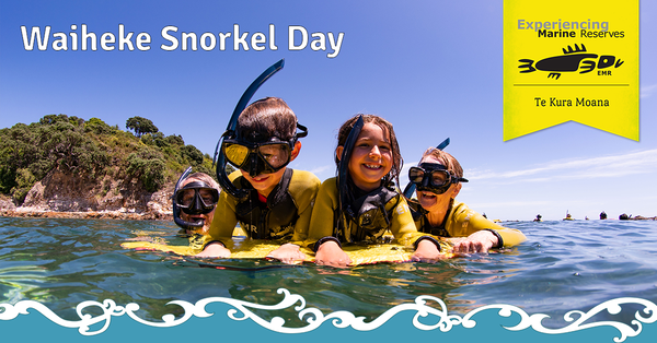 Waiheke Snorkel Day 9th January 2021