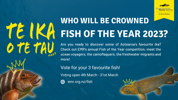 Who will be crowned fish of the year infographic. Are you ready to discover some of Aotearoa's favourite ika? Check out EMR's annual Fish of the Year competition, meet the ocean voyagers, the camoflaguers, the freshwater migrants and more! Vote for your 3 favourite fish! Voting open 4th March - 31st March